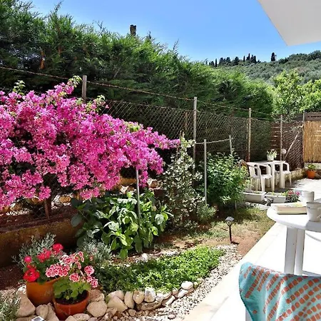 Drossos